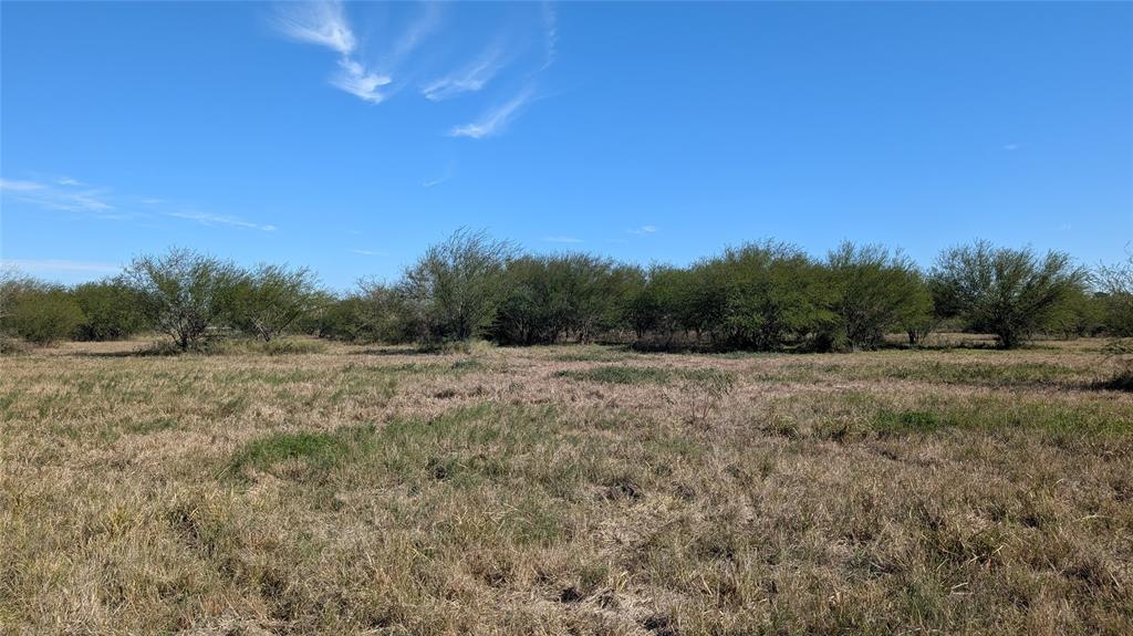 0000 S Meadow Lane, El Campo, Texas image 19