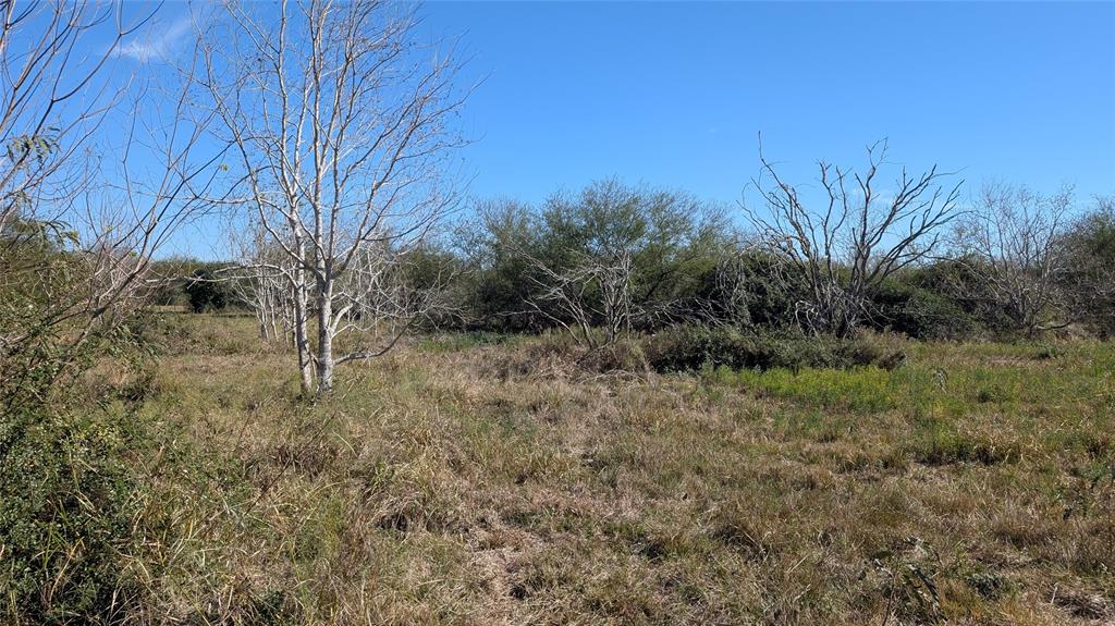 0000 S Meadow Lane, El Campo, Texas image 17