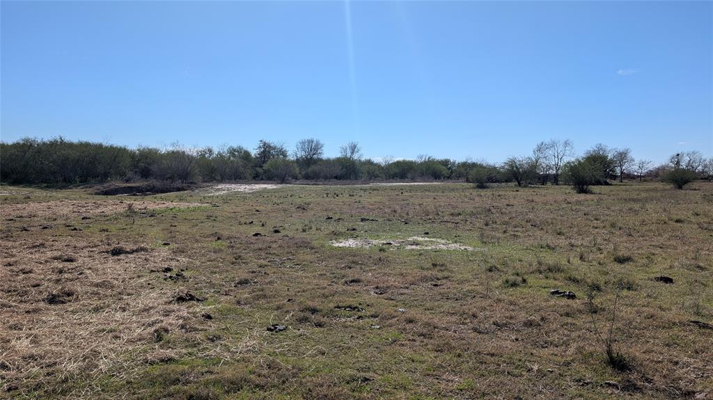 0000 S Meadow Lane, El Campo, Texas image 13