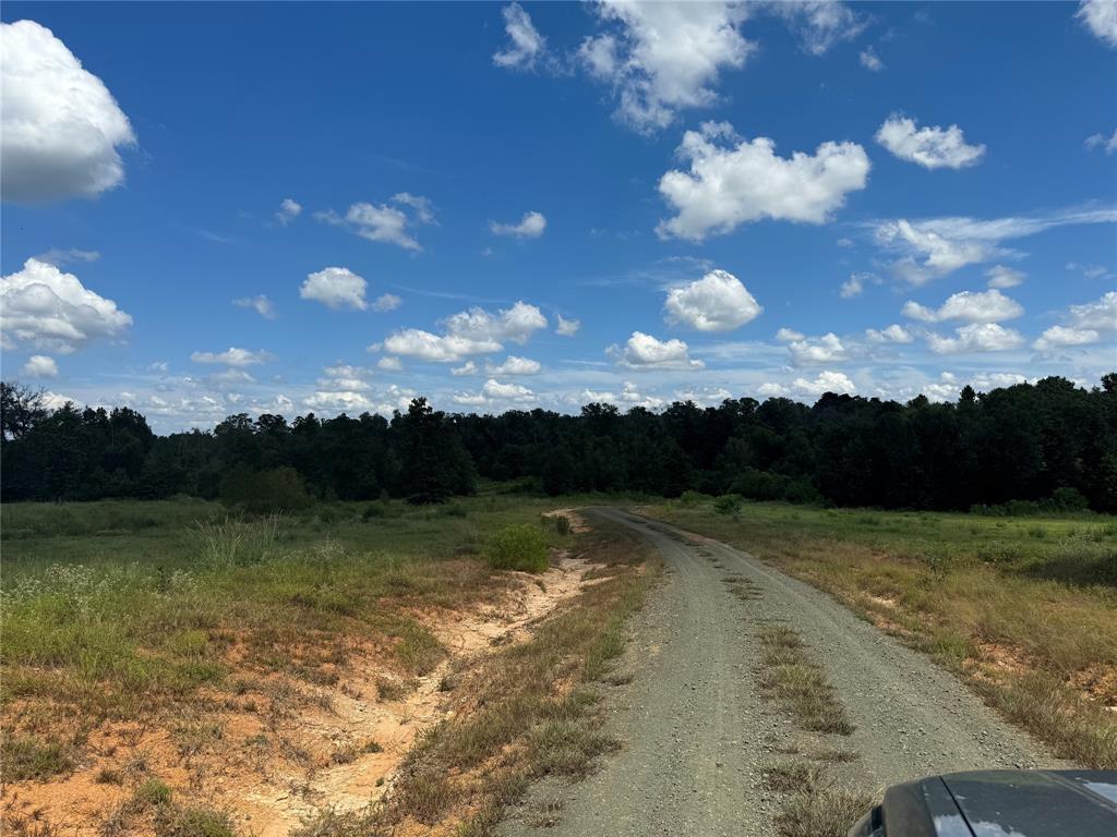 0124 County Road 1490, Center, Texas image 31