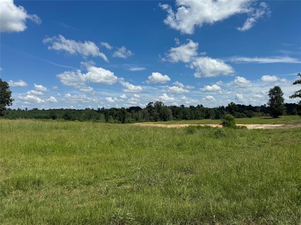 0124 County Road 1490, Center, Texas image 25