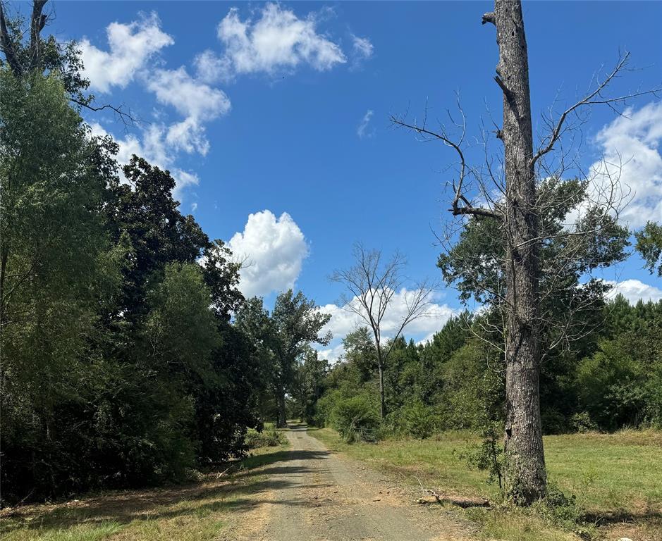 0124 County Road 1490, Center, Texas image 1