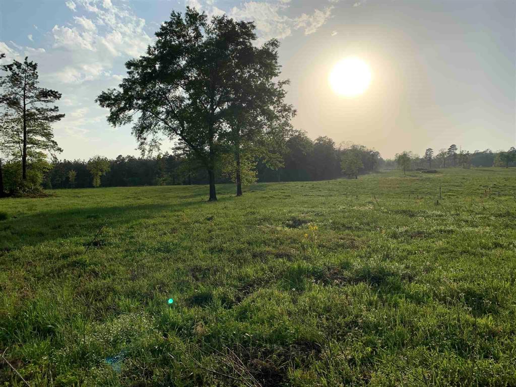 0124 County Road 1490, Center, Texas image 10