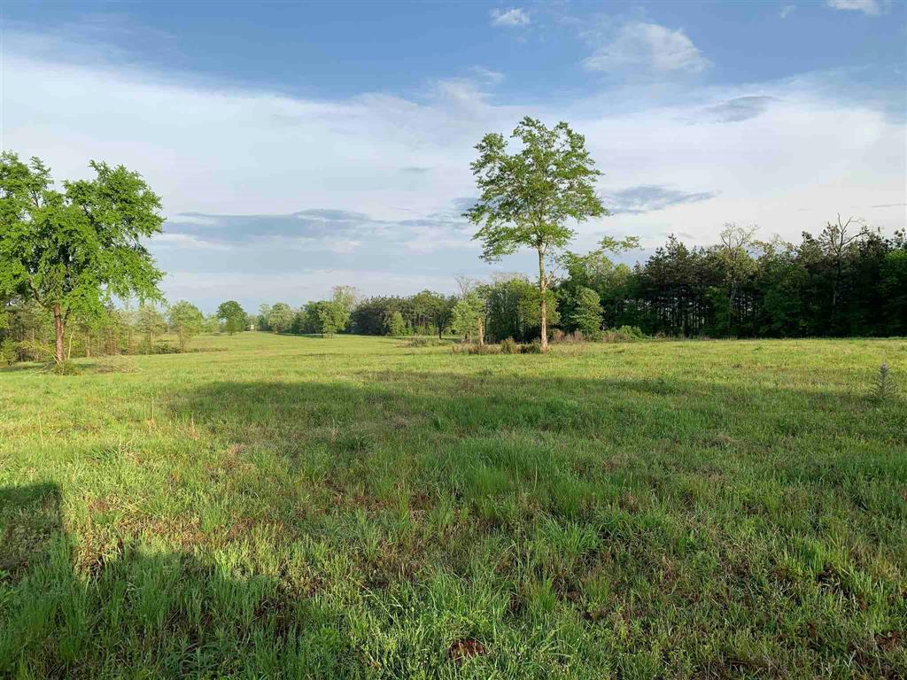 0124 County Road 1490, Center, Texas image 2