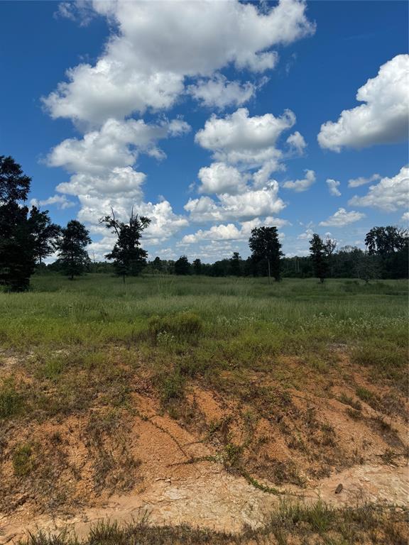 0124 County Road 1490, Center, Texas image 29