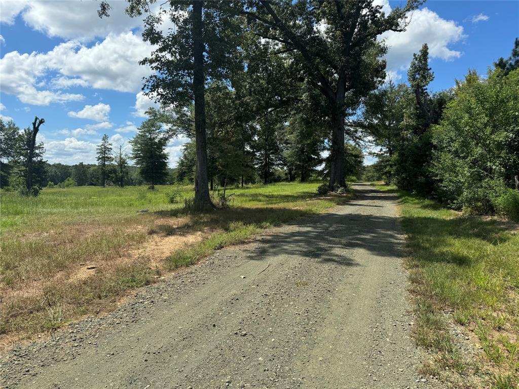 0124 County Road 1490, Center, Texas image 4