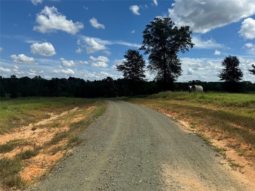 0124 County Road 1490, Center, Texas image 27