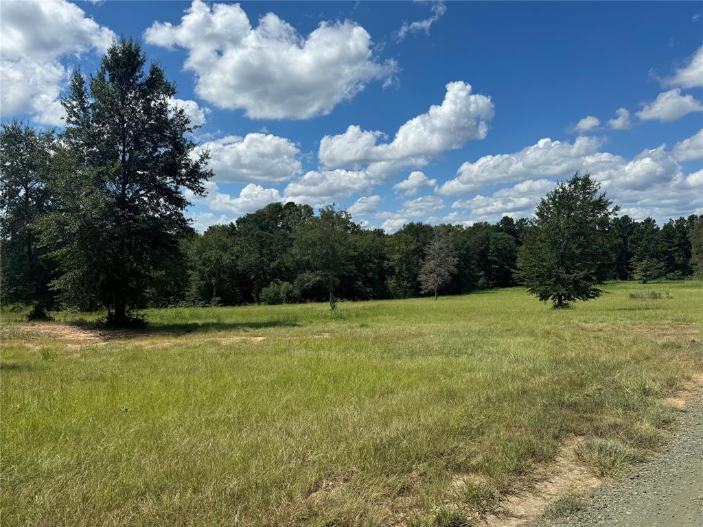 0124 County Road 1490, Center, Texas image 19