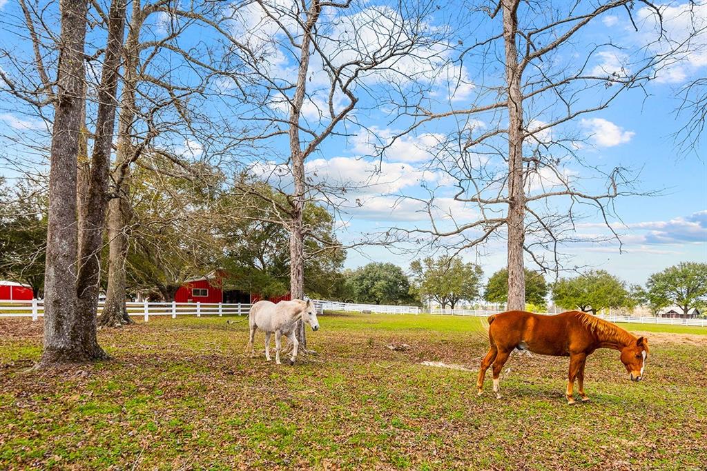 TBD Lakeland Loop Lot 88, Hillister, Texas image 11