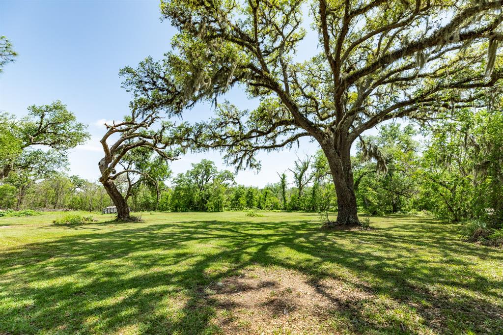 3328 County Road 245, Brazoria, Texas image 23