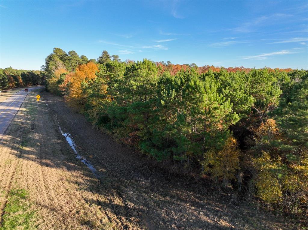 Cr 2108, Bagwell, Texas image 14