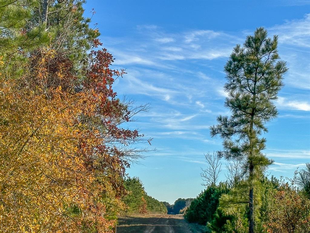 Cr 2108, Bagwell, Texas image 11