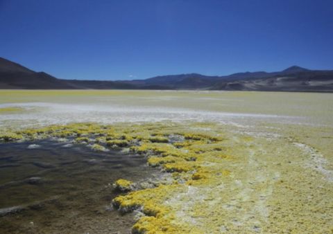 Photo of 0 Cruce Ruta 5, Other, NA (MLS # 9421739)