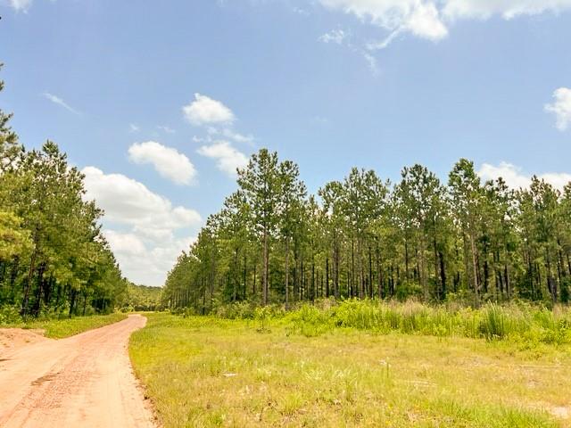 000 County Road 1425, Warren, Texas image 1