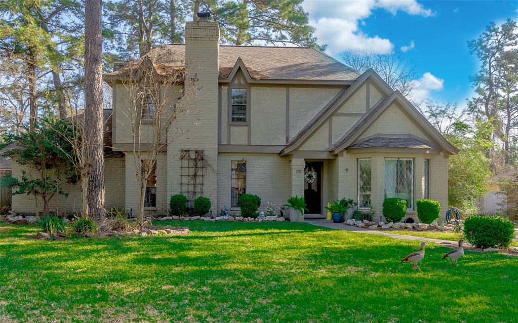119 Towering Pines Dr, The Woodlands, Texas image 1