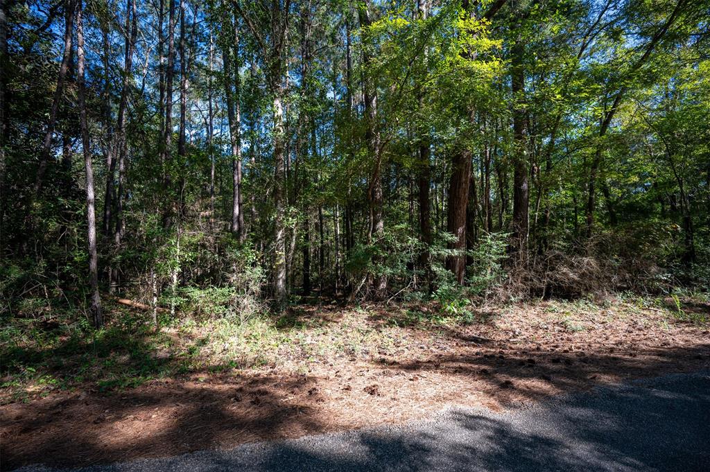T.B.D. County Rd 3000, Woodville, Texas image 5