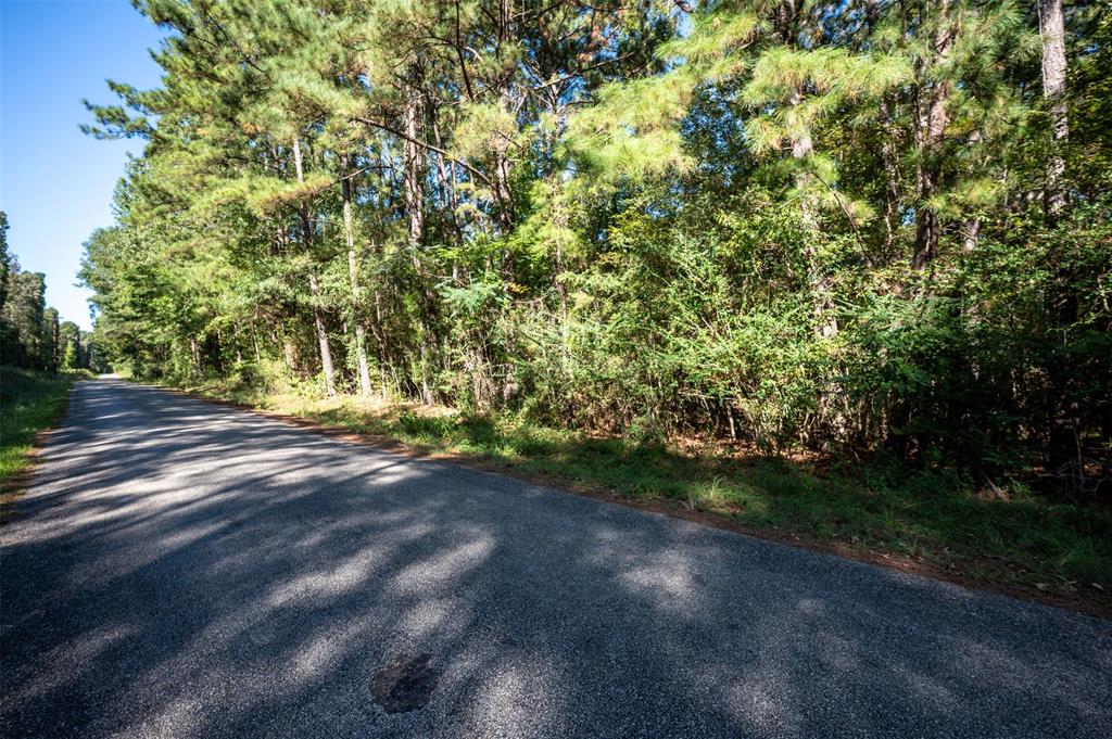 T.B.D. County Rd 3000, Woodville, Texas image 1