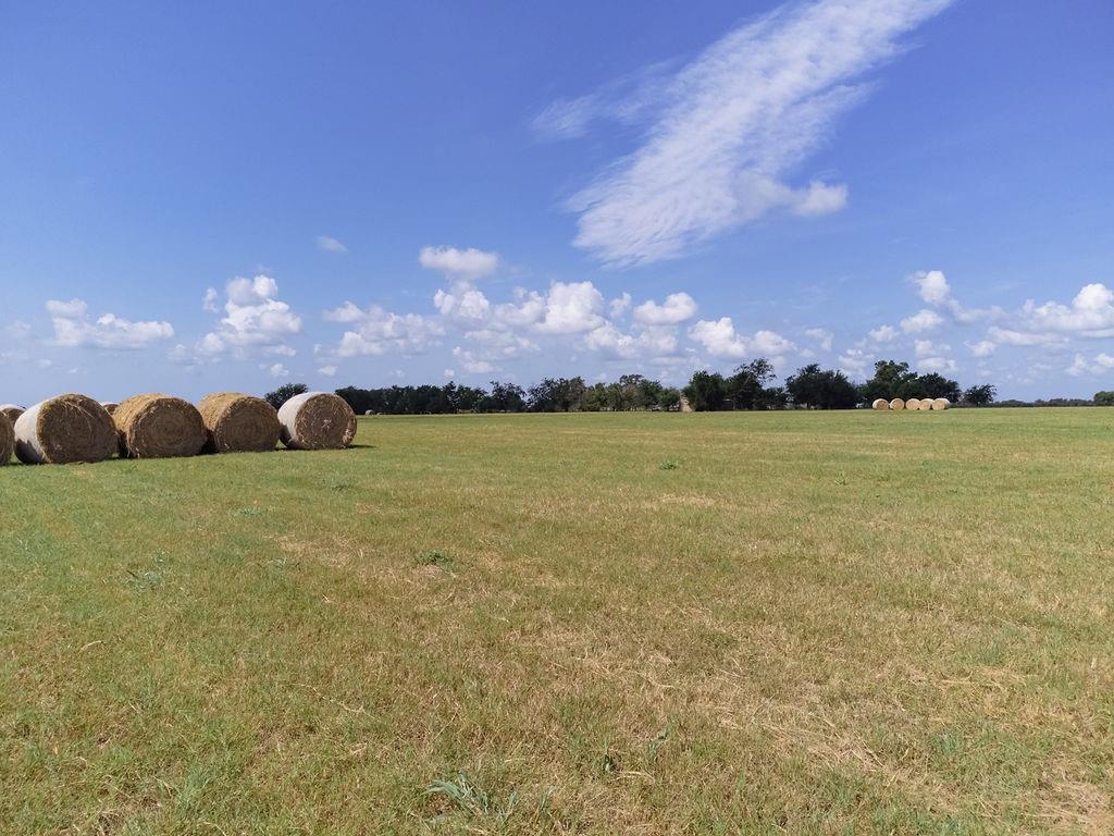 TBD Falke-heinrich Road Tract 1, Schulenburg, Texas image 5