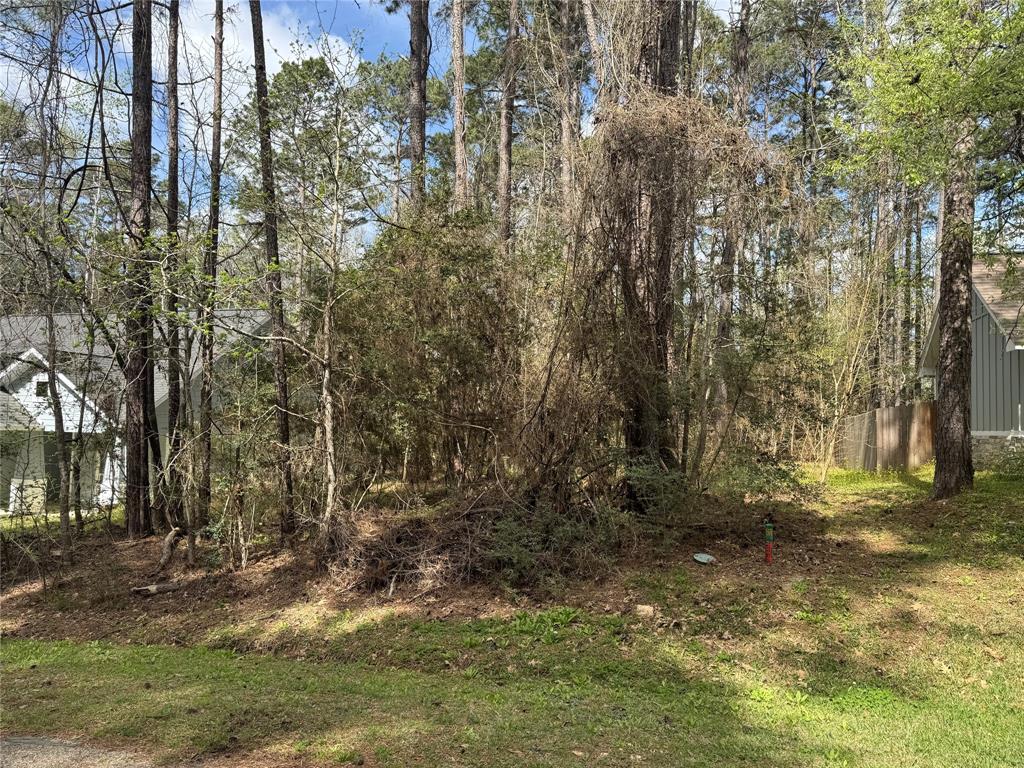 30 Green Tree Drive, Coldspring, Texas image 2