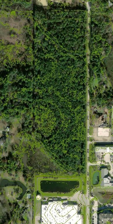 Magnolia Circle, Magnolia, Texas image 7