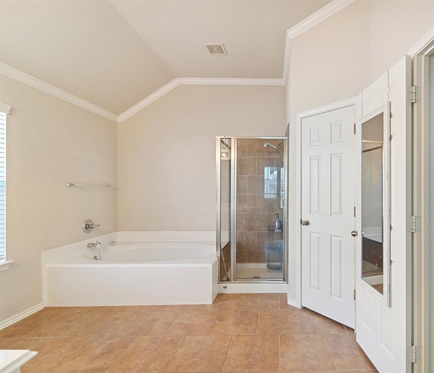 20210 Emerald Cliff Lane, Richmond, Texas image 12