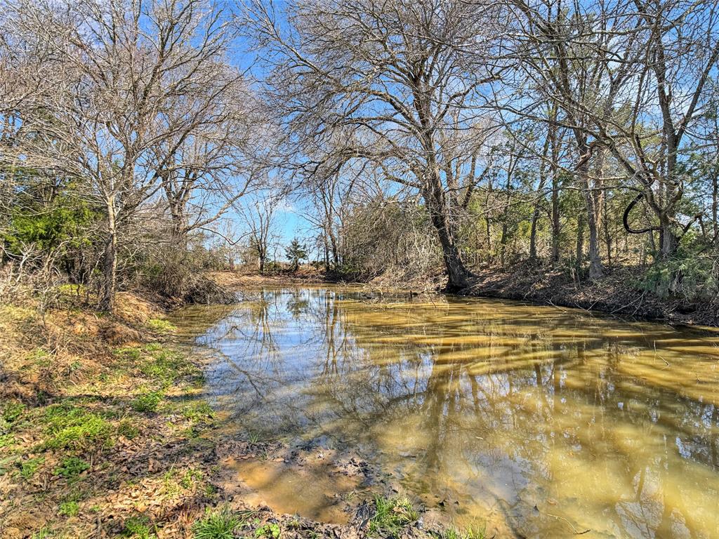 175 Lcr 726, Thornton, Texas image 19