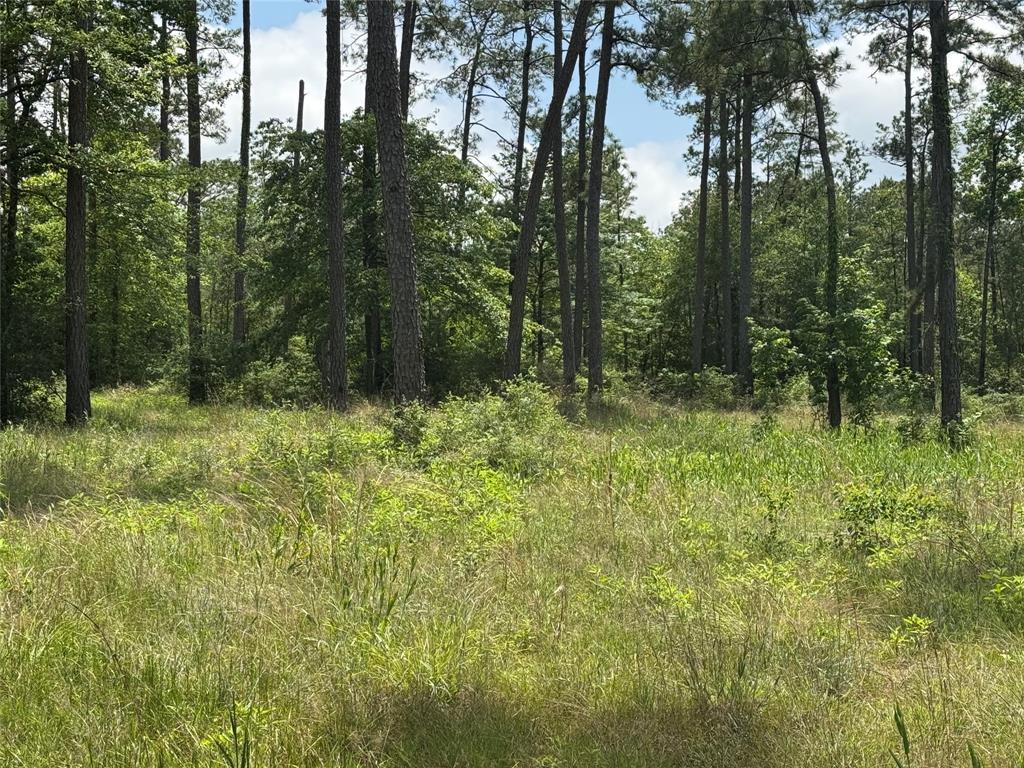 013 Private Road 6028, Brookeland, Texas image 8