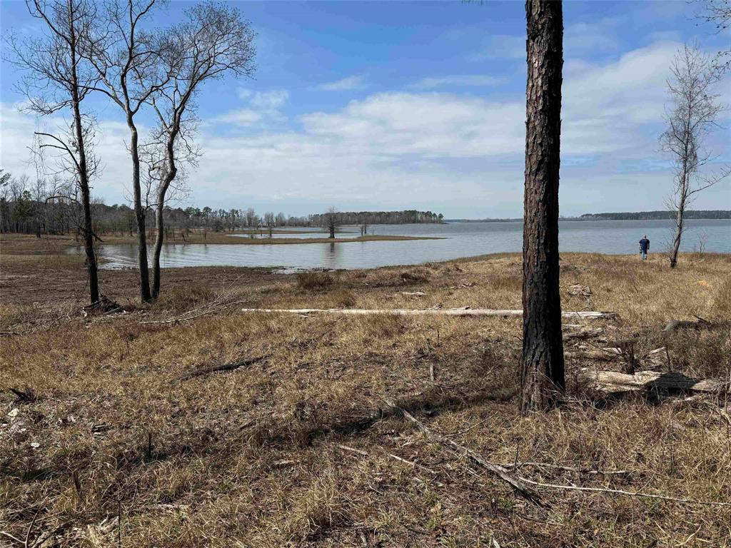 013 Private Road 6028, Brookeland, Texas image 3