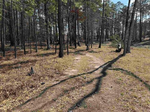 Photo of 13 Private Road 6028, Brookeland, TX 75931 (MLS # 50390341)