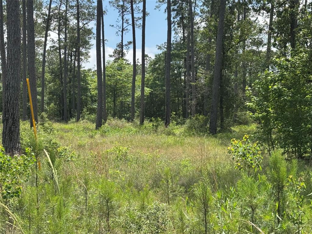 013 Private Road 6028, Brookeland, Texas image 6