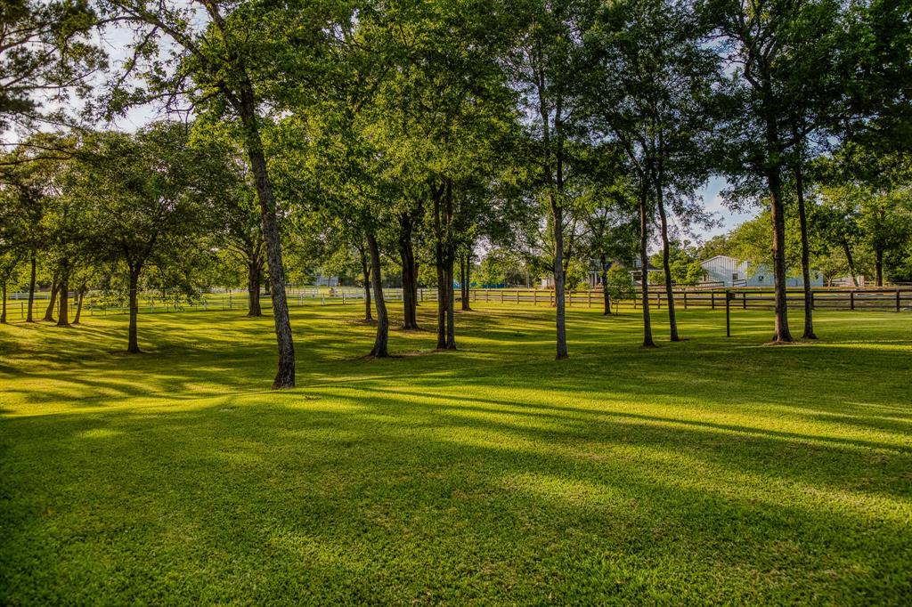 185 Camilla Circle, Bellville, Texas image 4