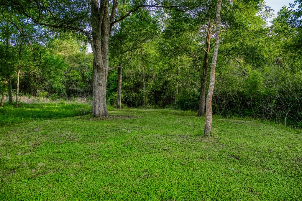 185 Camilla Circle, Bellville, Texas image 30