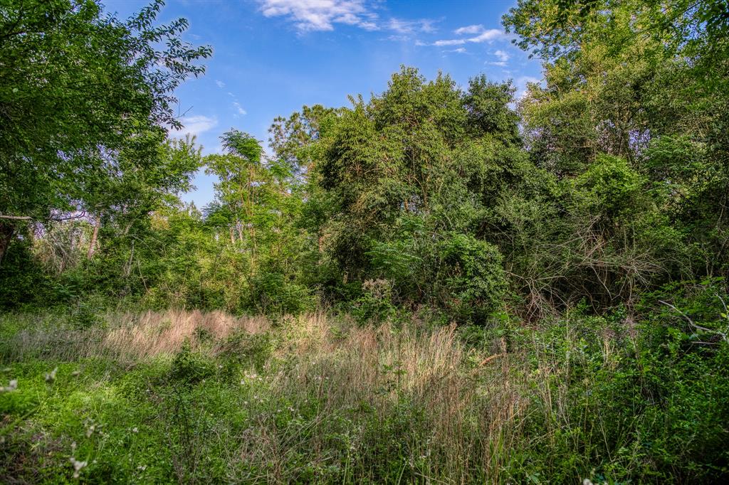 185 Camilla Circle, Bellville, Texas image 31