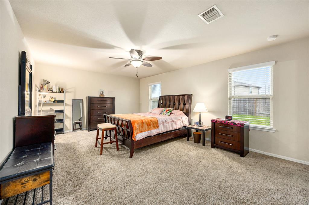 29014 Jacobs River Drive, Katy, Texas image 13