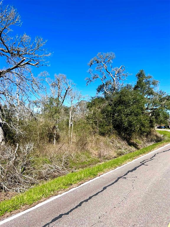 Bastrop Road/county Road 605 Road, Angleton, Texas image 7