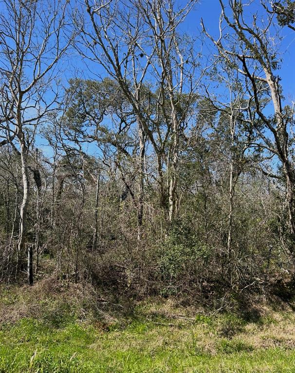 Bastrop Road/county Road 605 Road, Angleton, Texas image 12