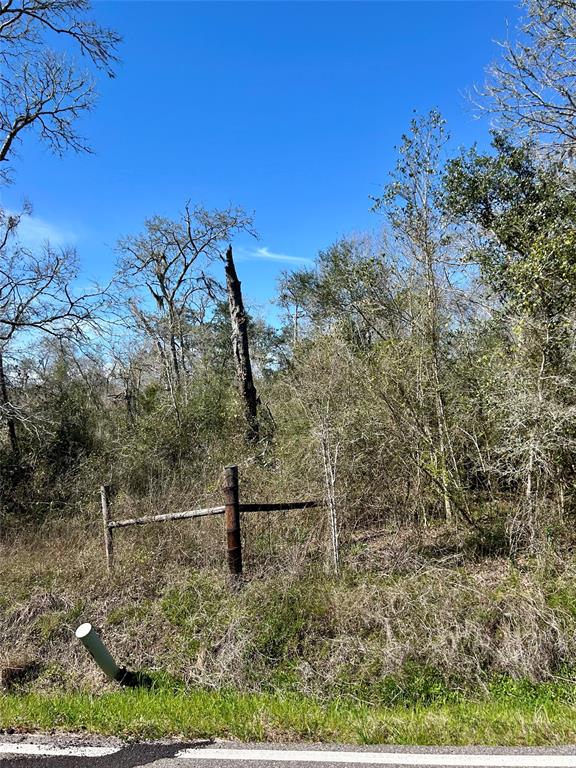 Bastrop Road/county Road 605 Road, Angleton, Texas image 11