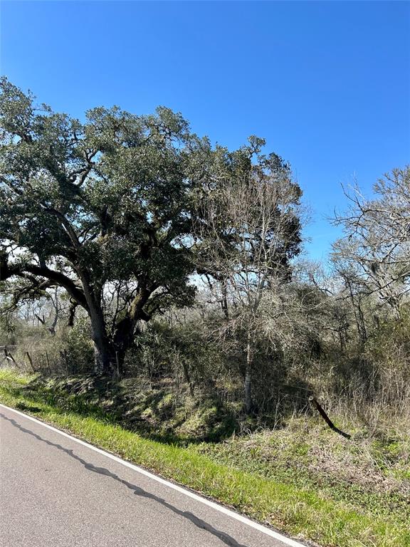 Bastrop Road/county Road 605 Road, Angleton, Texas image 6