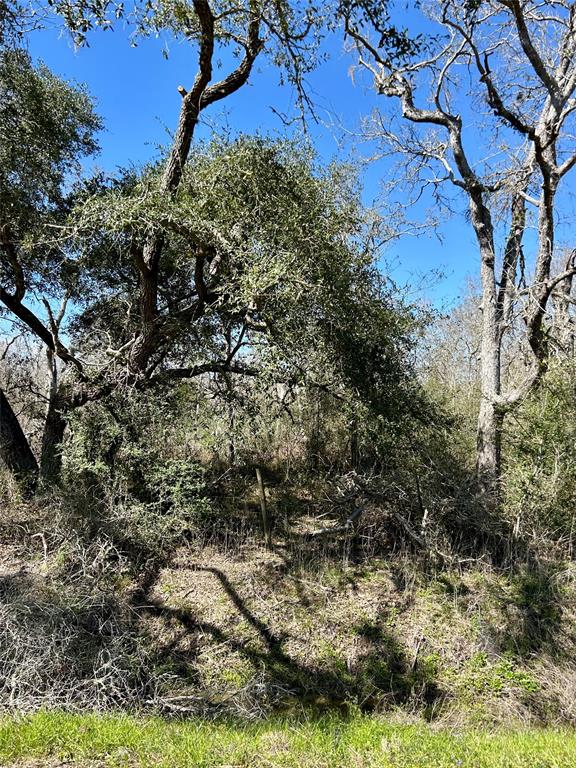 Bastrop Road/county Road 605 Road, Angleton, Texas image 10