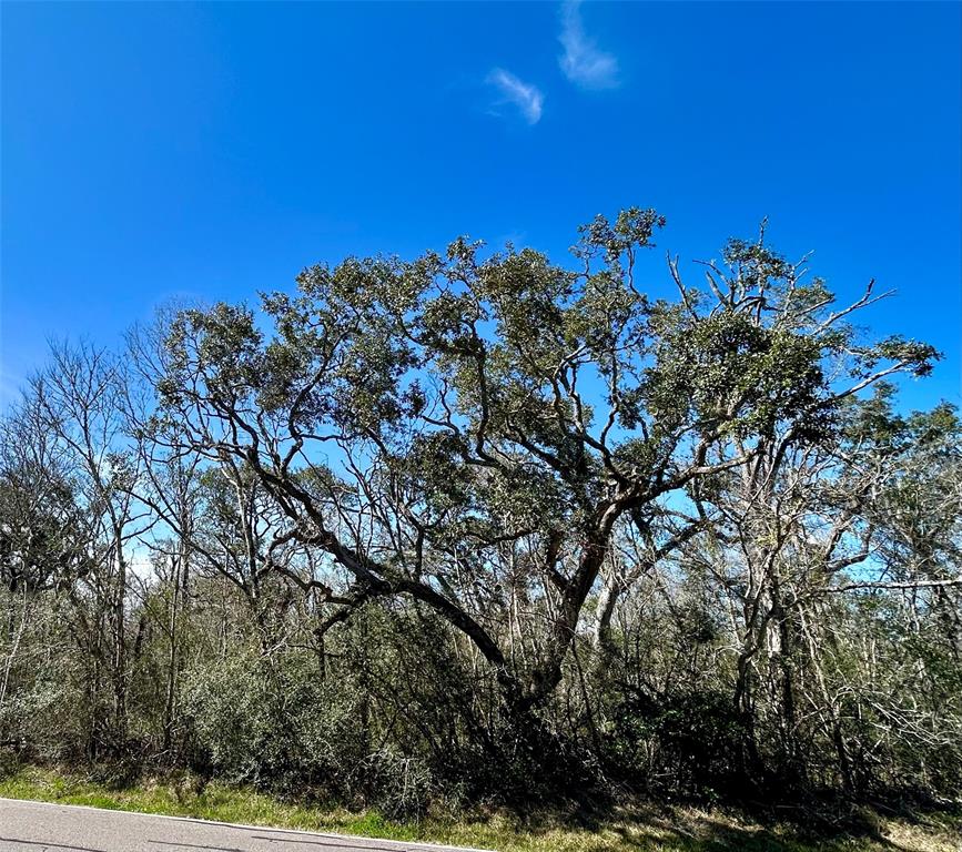 Bastrop Road/county Road 605 Road, Angleton, Texas image 2