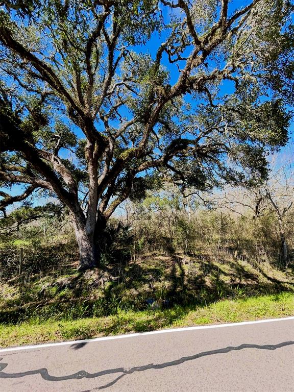 Bastrop Road/county Road 605 Road, Angleton, Texas image 4