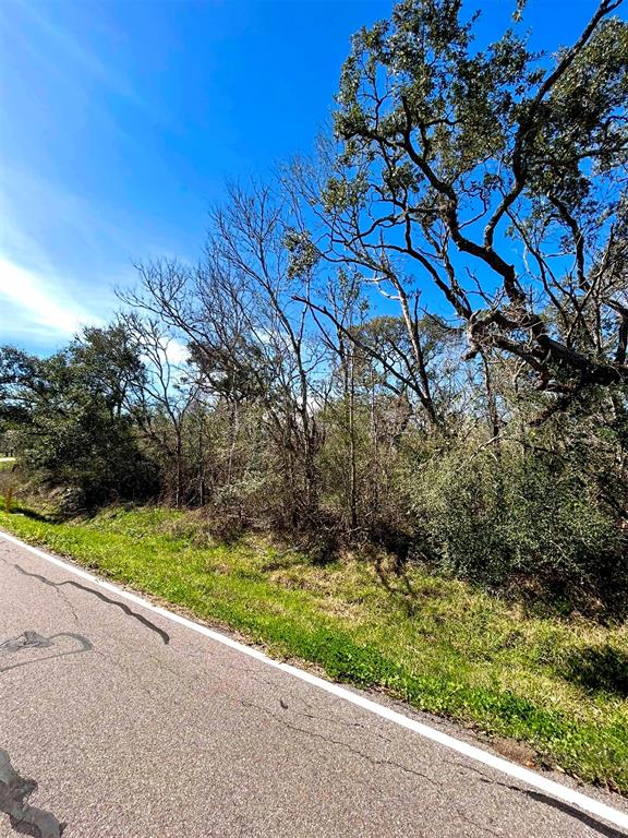 Bastrop Road/county Road 605 Road, Angleton, Texas image 13