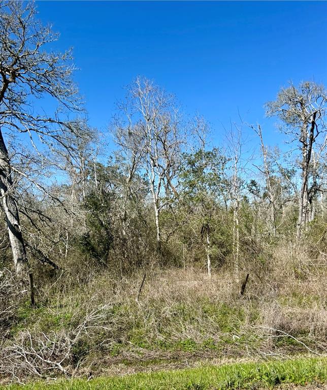 Bastrop Road/county Road 605 Road, Angleton, Texas image 8