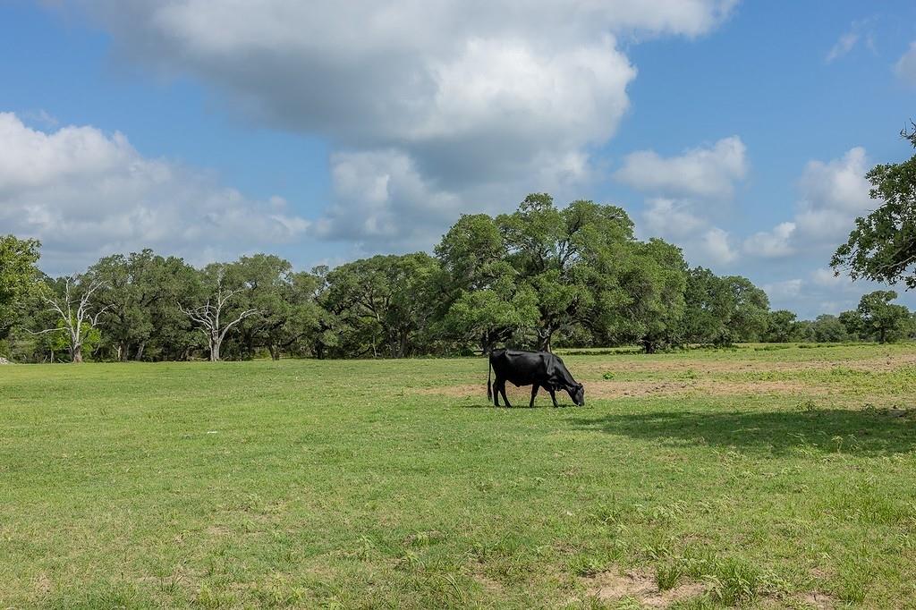 1561 County Road 154