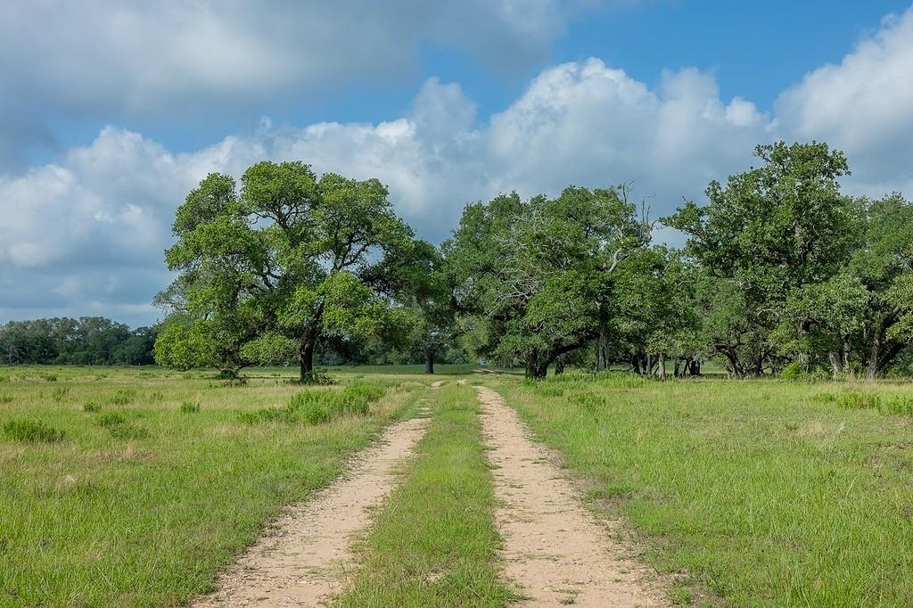 1561 County Road 154