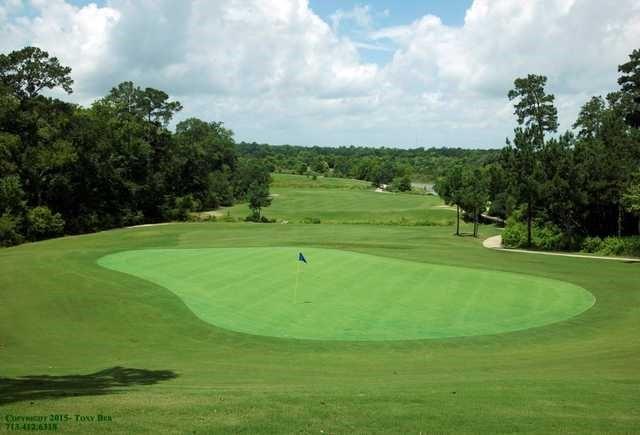 4785 West Fork Blvd, Conroe, Texas image 32