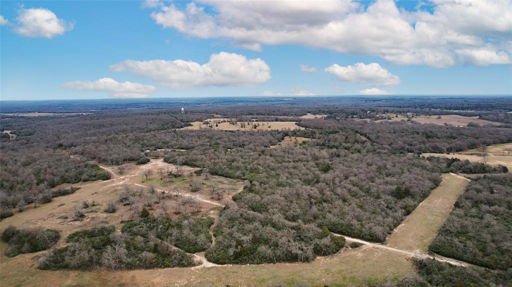 2901 County Road 426, Marquez, Texas image 8