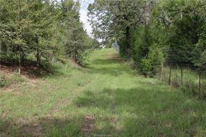 2901 County Road 426, Marquez, Texas image 29