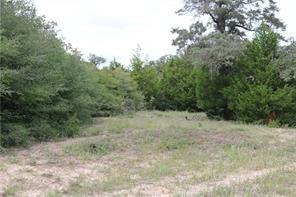 2901 County Road 426, Marquez, Texas image 26