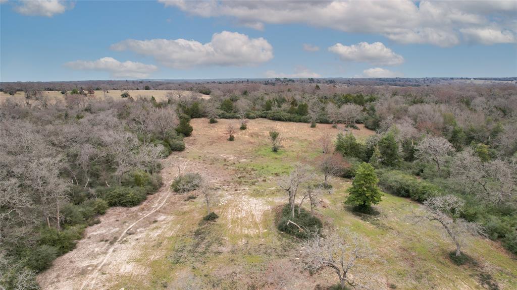 2901 County Road 426, Marquez, Texas image 9